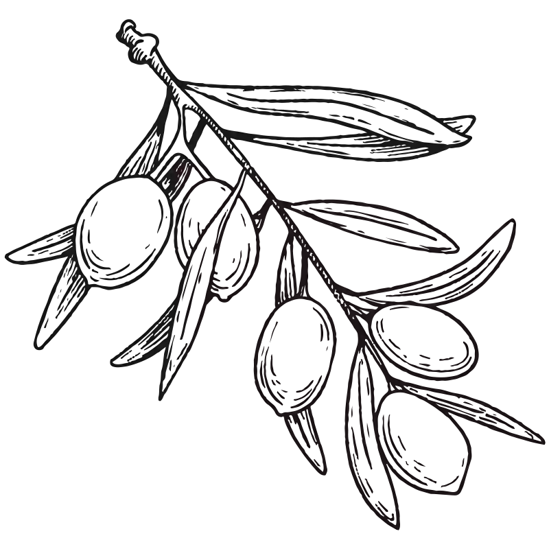 橄榄油
